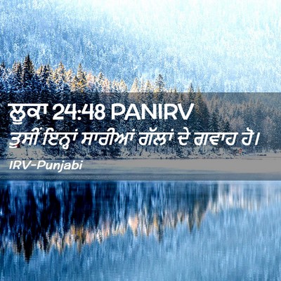 Picture 02 - ਲੂਕਾ 24:48 PANIRV - ਤੁਸੀਂ ਇਨ੍ਹਾਂ - Bible Verse Picture