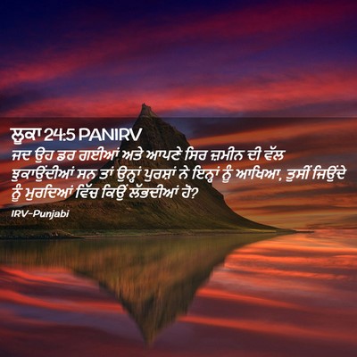 Picture 02 - ਲੂਕਾ 24:5 PANIRV - ਜਦ ਉਹ ਡਰ ਗਈਆਂ ਅਤੇ - Bible Verse Picture