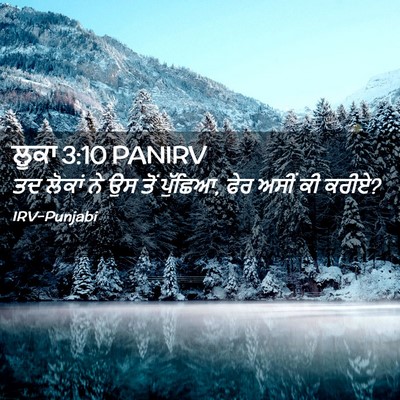 Picture 02 - ਲੂਕਾ 3:10 PANIRV - ਤਦ ਲੋਕਾਂ ਨੇ ਉਸ ਤੋਂ - Bible Verse Picture