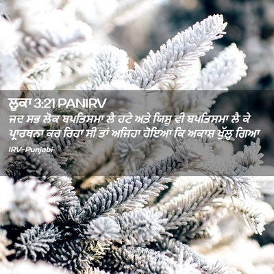 Picture 02 - ਲੂਕਾ 3:21 PANIRV - ਜਦ ਸਭ ਲੋਕ ਬਪਤਿਸਮਾ - Bible Verse Picture