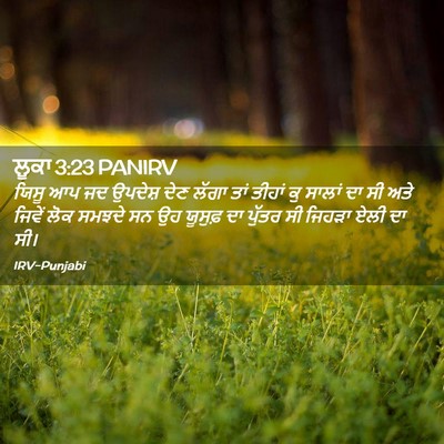 Picture 02 - ਲੂਕਾ 3:23 PANIRV - ਯਿਸੂ ਆਪ ਜਦ ਉਪਦੇਸ਼ - Bible Verse Picture