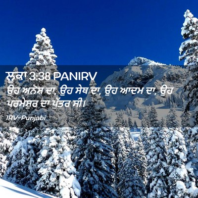 Picture 02 - ਲੂਕਾ 3:38 PANIRV - ਉਹ ਅਨੋਸ਼ ਦਾ, ਉਹ ਸੇਥ - Bible Verse Picture