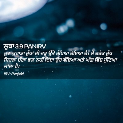 Picture 02 - ਲੂਕਾ 3:9 PANIRV - ਹੁਣ ਕੁਹਾੜਾ ਰੁੱਖਾਂ - Bible Verse Picture