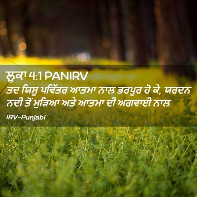 Picture 02 - ਲੂਕਾ 4:1 PANIRV - ਤਦ ਯਿਸੂ ਪਵਿੱਤਰ - Bible Verse Picture