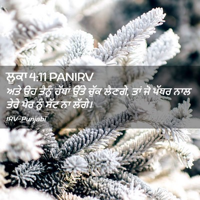 Picture 02 - ਲੂਕਾ 4:11 PANIRV - ਅਤੇ ਉਹ ਤੈਨੂੰ ਹੱਥਾਂ - Bible Verse Picture
