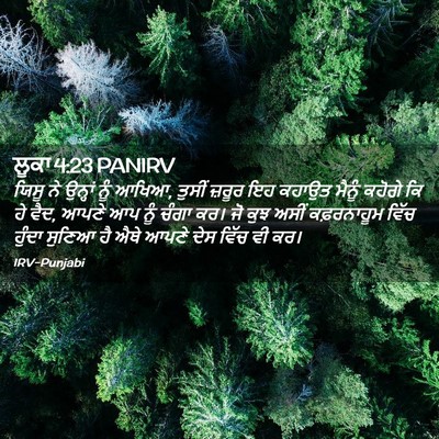 Picture 02 - ਲੂਕਾ 4:23 PANIRV - ਯਿਸੂ ਨੇ ਉਨ੍ਹਾਂ ਨੂੰ - Bible Verse Picture
