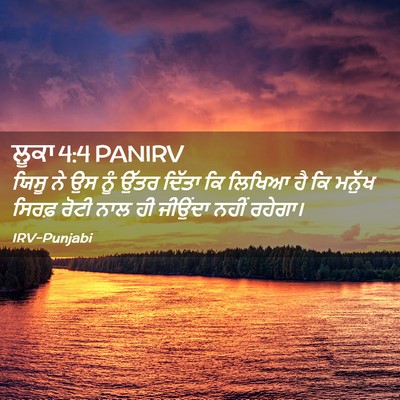Picture 02 - ਲੂਕਾ 4:4 PANIRV - ਯਿਸੂ ਨੇ ਉਸ ਨੂੰ ਉੱਤਰ - Bible Verse Picture