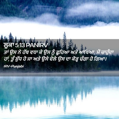 Picture 02 - ਲੂਕਾ 5:13 PANIRV - ਤਾਂ ਉਸ ਨੇ ਹੱਥ ਵਧਾ - Bible Verse Picture