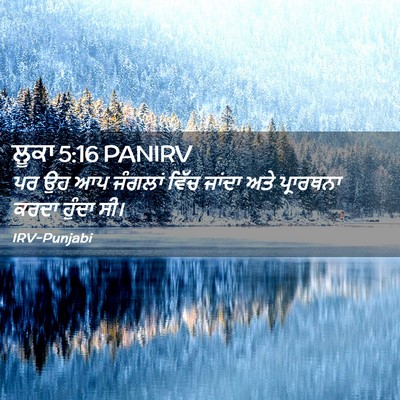 Picture 02 - ਲੂਕਾ 5:16 PANIRV - ਪਰ ਉਹ ਆਪ ਜੰਗਲਾਂ - Bible Verse Picture