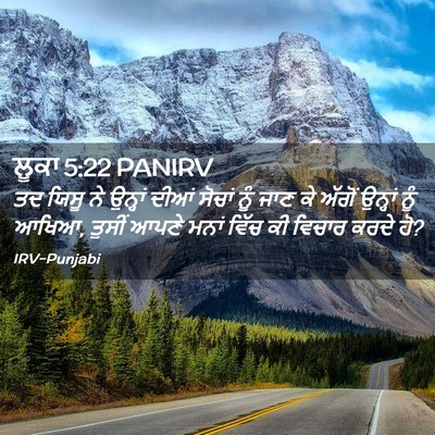 Picture 02 - ਲੂਕਾ 5:22 PANIRV - ਤਦ ਯਿਸੂ ਨੇ ਉਨ੍ਹਾਂ - Bible Verse Picture