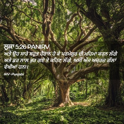Picture 02 - ਲੂਕਾ 5:26 PANIRV - ਅਤੇ ਉਹ ਸਾਰੇ ਬਹੁਤ - Bible Verse Picture