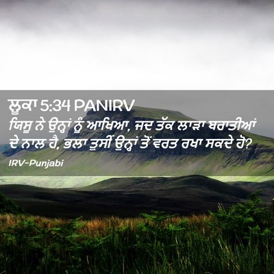 Picture 02 - ਲੂਕਾ 5:34 PANIRV - ਯਿਸੂ ਨੇ ਉਨ੍ਹਾਂ ਨੂੰ - Bible Verse Picture