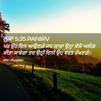 Picture 02 - ਲੂਕਾ 5:35 PANIRV - ਪਰ ਉਹ ਦਿਨ ਆਉਣਗੇ ਜਦ - Bible Verse Picture