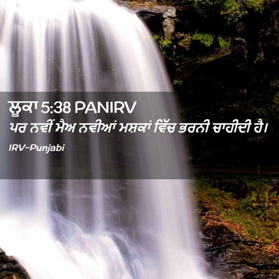 Picture 02 - ਲੂਕਾ 5:38 PANIRV - ਪਰ ਨਵੀਂ ਮੈਅ ਨਵੀਆਂ - Bible Verse Picture