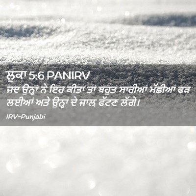 Picture 02 - ਲੂਕਾ 5:6 PANIRV - ਜਦ ਉਨ੍ਹਾਂ ਨੇ ਇਹ - Bible Verse Picture