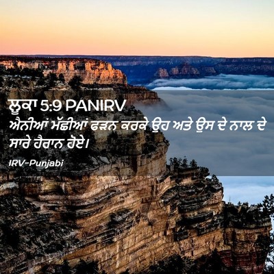 Picture 02 - ਲੂਕਾ 5:9 PANIRV - ਐਨੀਆਂ ਮੱਛੀਆਂ ਫੜਨ - Bible Verse Picture
