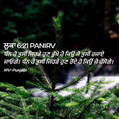 Picture 02 - ਲੂਕਾ 6:21 PANIRV - ਧੰਨ ਹੋ ਤੁਸੀਂ ਜਿਹੜੇ - Bible Verse Picture