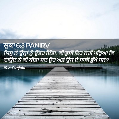 Picture 02 - ਲੂਕਾ 6:3 PANIRV - ਯਿਸੂ ਨੇ ਉਨ੍ਹਾਂ ਨੂੰ - Bible Verse Picture