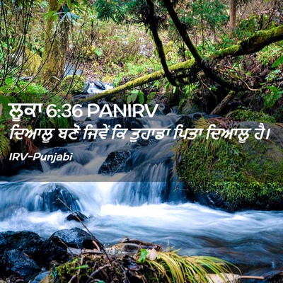 Picture 02 - ਲੂਕਾ 6:36 PANIRV - ਦਿਆਲੂ ਬਣੋ ਜਿਵੇਂ ਕਿ - Bible Verse Picture