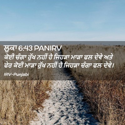 Picture 02 - ਲੂਕਾ 6:43 PANIRV - ਕੋਈ ਚੰਗਾ ਰੁੱਖ ਨਹੀਂ - Bible Verse Picture