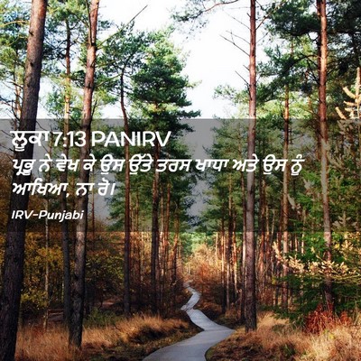 Picture 02 - ਲੂਕਾ 7:13 PANIRV - ਪ੍ਰਭੂ ਨੇ ਵੇਖ ਕੇ ਉਸ - Bible Verse Picture