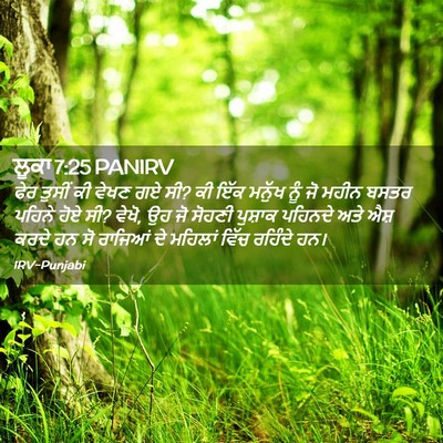 Picture 02 - ਲੂਕਾ 7:25 PANIRV - ਫੇਰ ਤੁਸੀਂ ਕੀ ਵੇਖਣ - Bible Verse Picture