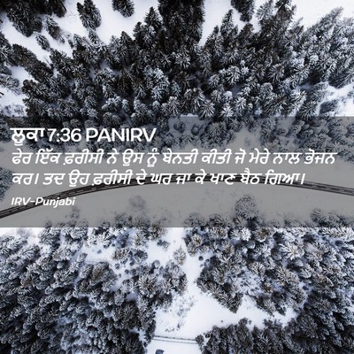 Picture 02 - ਲੂਕਾ 7:36 PANIRV - ਫੇਰ ਇੱਕ ਫ਼ਰੀਸੀ ਨੇ - Bible Verse Picture