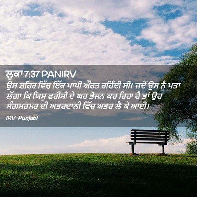 Picture 02 - ਲੂਕਾ 7:37 PANIRV - ਉਸ ਸ਼ਹਿਰ ਵਿੱਚ ਇੱਕ - Bible Verse Picture