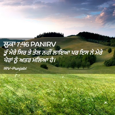 Picture 02 - ਲੂਕਾ 7:46 PANIRV - ਤੂੰ ਮੇਰੇ ਸਿਰ ਤੇ ਤੇਲ - Bible Verse Picture