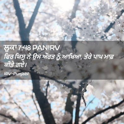 Picture 02 - ਲੂਕਾ 7:48 PANIRV - ਫਿਰ ਯਿਸੂ ਨੇ ਉਸ ਔਰਤ - Bible Verse Picture
