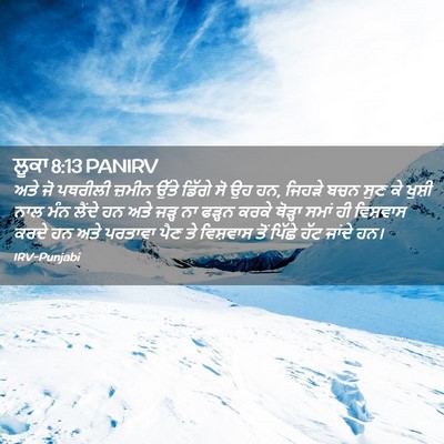 Picture 02 - ਲੂਕਾ 8:13 PANIRV - ਅਤੇ ਜੋ ਪਥਰੀਲੀ - Bible Verse Picture