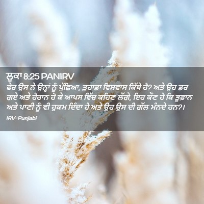 Picture 02 - ਲੂਕਾ 8:25 PANIRV - ਫੇਰ ਉਸ ਨੇ ਉਨ੍ਹਾਂ - Bible Verse Picture