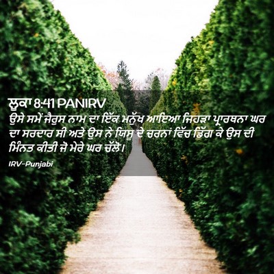 Picture 02 - ਲੂਕਾ 8:41 PANIRV - ਉਸੇ ਸਮੇਂ ਜੈਰੁਸ ਨਾਮ - Bible Verse Picture