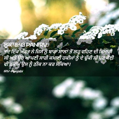 Picture 02 - ਲੂਕਾ 8:43 PANIRV - ਤਦ ਇੱਕ ਔਰਤ ਨੇ ਜਿਸ - Bible Verse Picture