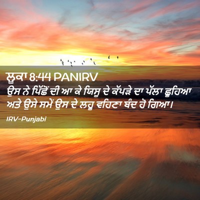 Picture 02 - ਲੂਕਾ 8:44 PANIRV - ਉਸ ਨੇ ਪਿੱਛੋਂ ਦੀ ਆ - Bible Verse Picture