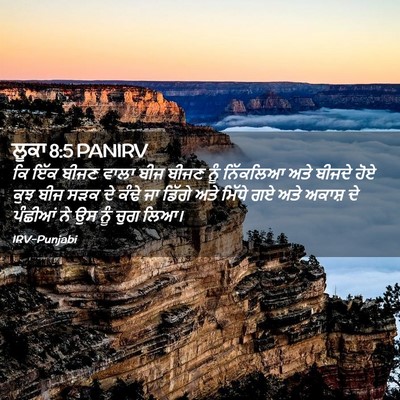 Picture 02 - ਲੂਕਾ 8:5 PANIRV - ਕਿ ਇੱਕ ਬੀਜਣ ਵਾਲਾ - Bible Verse Picture