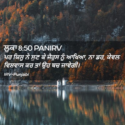 Picture 02 - ਲੂਕਾ 8:50 PANIRV - ਪਰ ਯਿਸੂ ਨੇ ਸੁਣ ਕੇ - Bible Verse Picture