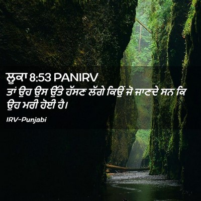 Picture 02 - ਲੂਕਾ 8:53 PANIRV - ਤਾਂ ਉਹ ਉਸ ਉੱਤੇ ਹੱਸਣ - Bible Verse Picture
