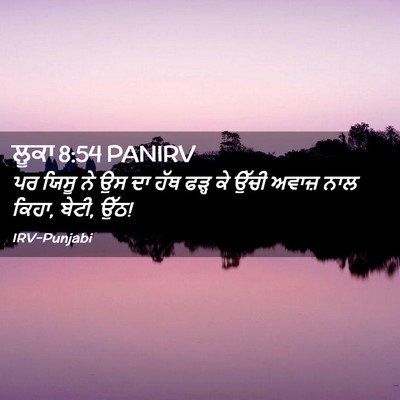 Picture 02 - ਲੂਕਾ 8:54 PANIRV - ਪਰ ਯਿਸੂ ਨੇ ਉਸ ਦਾ - Bible Verse Picture