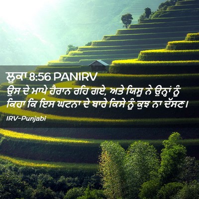 Picture 02 - ਲੂਕਾ 8:56 PANIRV - ਉਸ ਦੇ ਮਾਪੇ ਹੈਰਾਨ - Bible Verse Picture