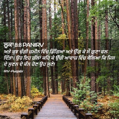 Picture 02 - ਲੂਕਾ 8:8 PANIRV - ਅਤੇ ਕੁਝ ਚੰਗੀ ਜ਼ਮੀਨ - Bible Verse Picture