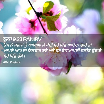Picture 02 - ਲੂਕਾ 9:23 PANIRV - ਉਸ ਨੇ ਸਭਨਾਂ ਨੂੰ - Bible Verse Picture