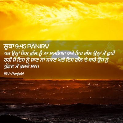 Picture 02 - ਲੂਕਾ 9:45 PANIRV - ਪਰ ਉਨ੍ਹਾਂ ਇਸ ਗੱਲ - Bible Verse Picture