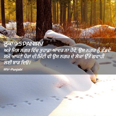 Picture 02 - ਲੂਕਾ 9:5 PANIRV - ਅਤੇ ਜਿਸ ਨਗਰ ਵਿੱਚ - Bible Verse Picture