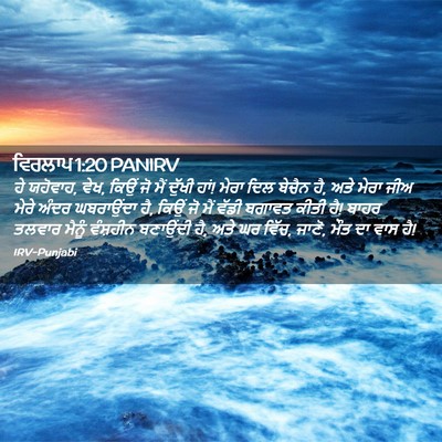 Picture 02 - ਵਿਰਲਾਪ 1:20 PANIRV - ਹੇ ਯਹੋਵਾਹ, ਵੇਖ, - Bible Verse Picture