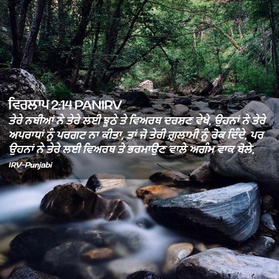 Picture 02 - ਵਿਰਲਾਪ 2:14 PANIRV - ਤੇਰੇ ਨਬੀਆਂ ਨੇ ਤੇਰੇ - Bible Verse Picture