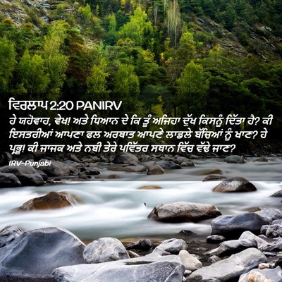 Picture 02 - ਵਿਰਲਾਪ 2:20 PANIRV - ਹੇ ਯਹੋਵਾਹ, ਵੇਖ! ਅਤੇ - Bible Verse Picture