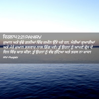 Picture 02 - ਵਿਰਲਾਪ 2:21 PANIRV - ਜੁਆਨ ਅਤੇ ਬੁੱਢੇ - Bible Verse Picture