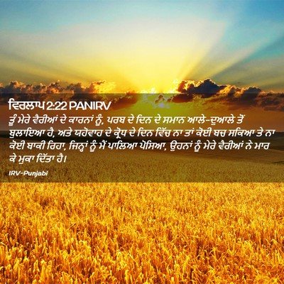 Picture 02 - ਵਿਰਲਾਪ 2:22 PANIRV - ਤੂੰ ਮੇਰੇ ਵੈਰੀਆਂ ਦੇ - Bible Verse Picture
