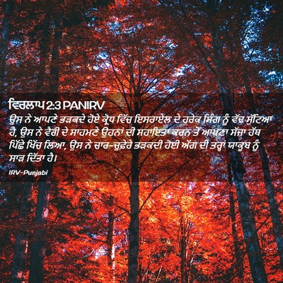 Picture 02 - ਵਿਰਲਾਪ 2:3 PANIRV - ਉਸ ਨੇ ਆਪਣੇ ਭੜਕਦੇ - Bible Verse Picture